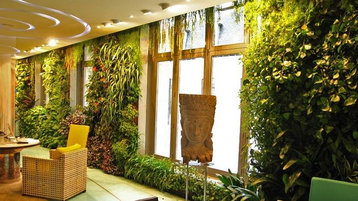 фитодизайн