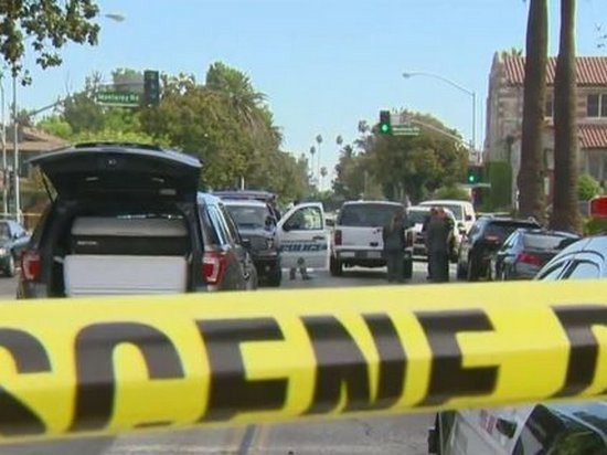 В Калифорнии полицейские застрелили актрису американского сериала Скорая помощь