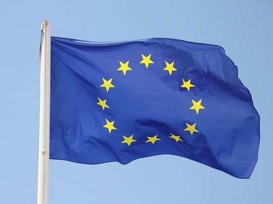 ЕС готов начать торговый арбитраж с Украиной по лесу-кругляку