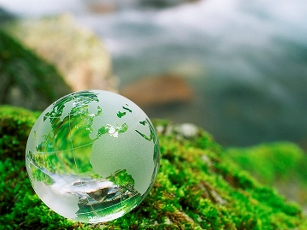 Экологический консалтинг: особенности и преимущества услуги