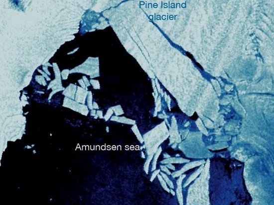 От Антарктиды откололся айсберг размером с Запорожье