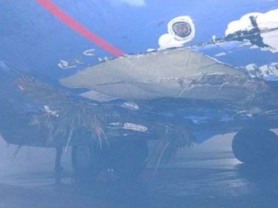 В аэропорту Борисполь самолет совершил жесткую посадку — СМИ