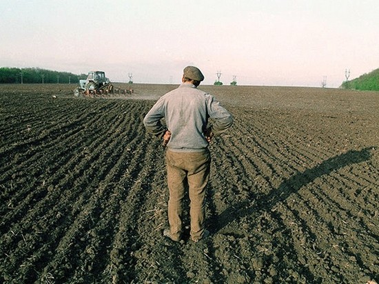 Бессмертный: 17 лет моратория. Как проблема продажи земли уничтожает Украину