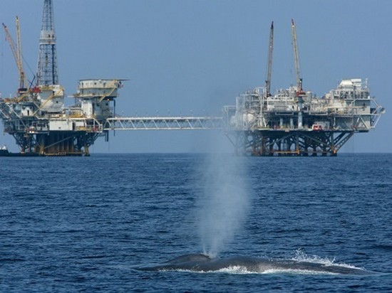 В ОПЕК рассказали о сокращении добычи нефти