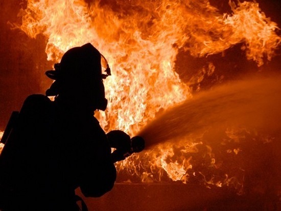На пожарах в Украине погибли более 300 человек