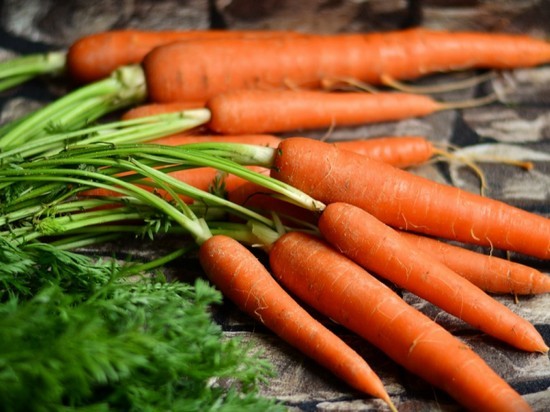 Правда или миф? Употребление моркови улучшает зрение