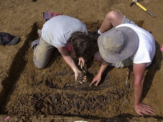 Огромную тропу динозавров нашли в Австралии