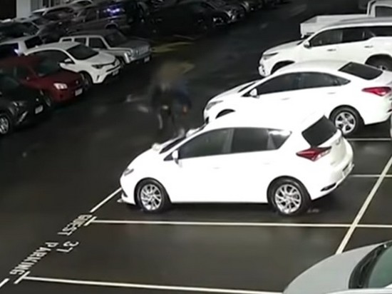 Австралийские подростки разбили почти 40 автомобилей (видео)