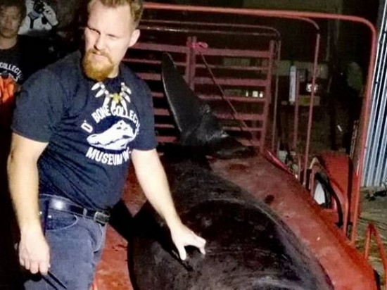 На Филиппинах в желудке мертвого кита обнаружили 40 килограмм пластика