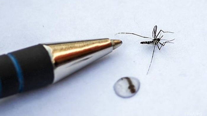 Ученые нашли способ спрятать человека от комаров