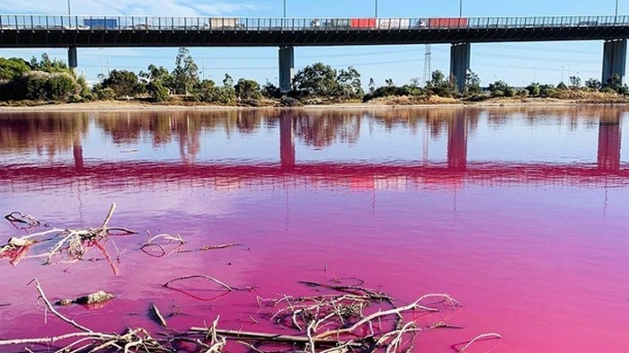 В Австралии появилось озеро с розовой водой