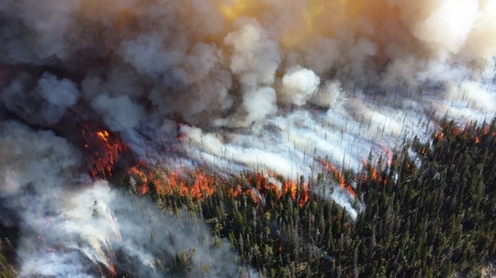 Сильный лесной пожар в Китае тушат шесть самолетов и 150 пожарных