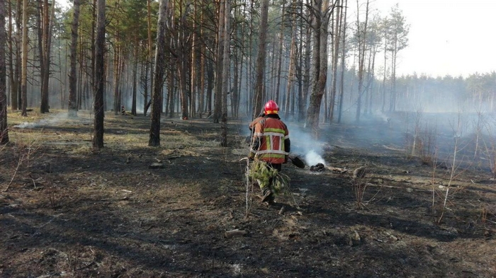 Потушили пожар на заповедной территории Черниговской области