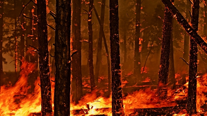 Крупные пожары в Забайкальском крае. С каждым днем число пострадавших лишь растет