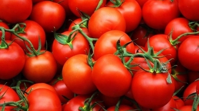 В Украину хотели завезти зараженные томаты из Турции