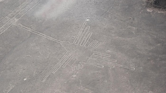 Ученые раскрыли тайну рисунков в пустыне Наска