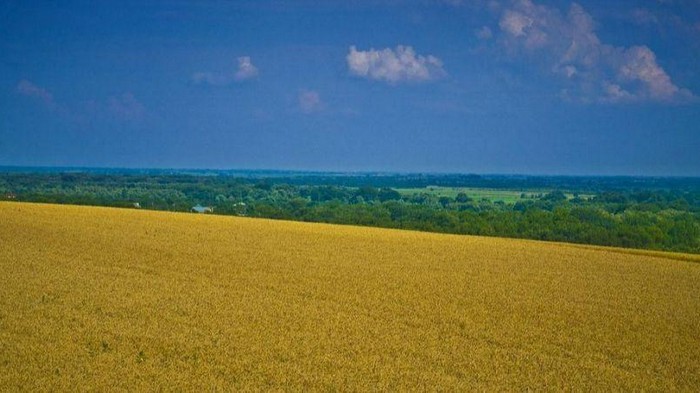 Из-за моратория на куплю-продажу земли Украина за год потеряла $22,5 млрд