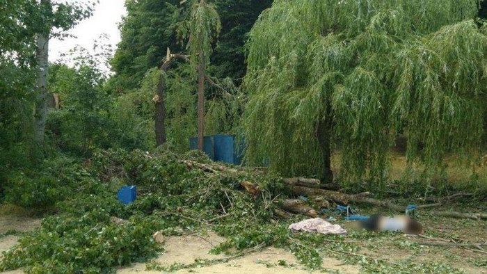 В больнице Харькова умерла вторая пострадавшая, на которую упало дерево на базе отдыха