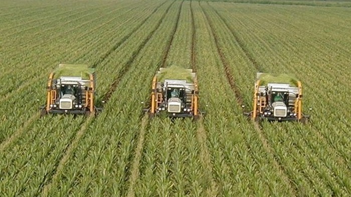 Украина вошла в топ-3 экспортеров аграрной продукции в Евросоюз