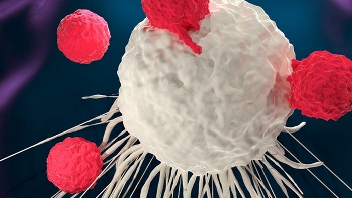 Ученые нашли способ снизить риск развития рака