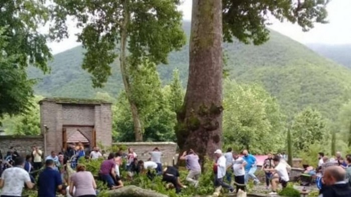 Названа причина падения на туристов ветки 500-летнего дерева в Азербайджане