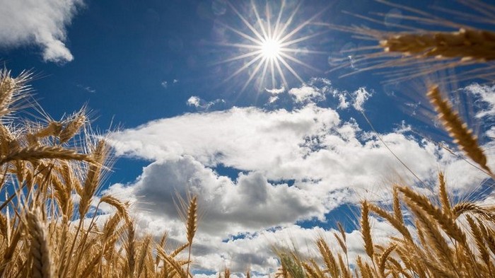 Климатологи дали прогноз погоды до конца лета
