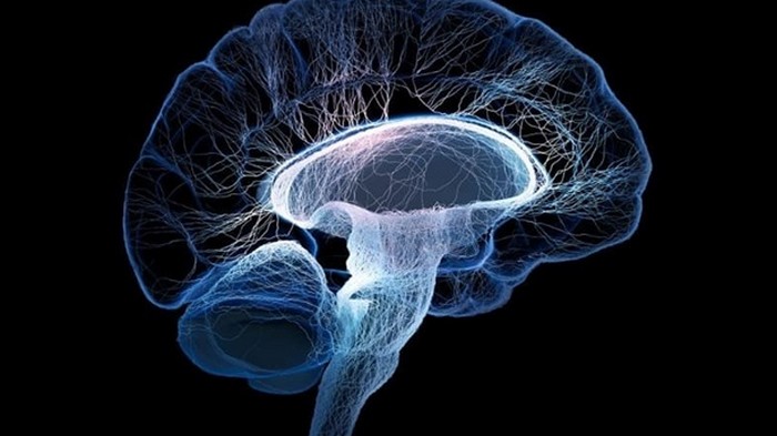 Ученые нашли способ борьбы с неизлечимым заболеванием мозга