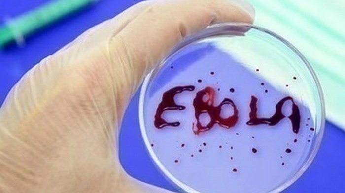 Ученые нашли лекарство от Эболы