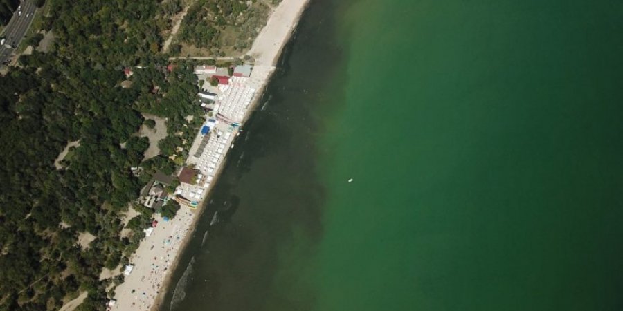 На одном из пляжей Одессы почернело море — видео