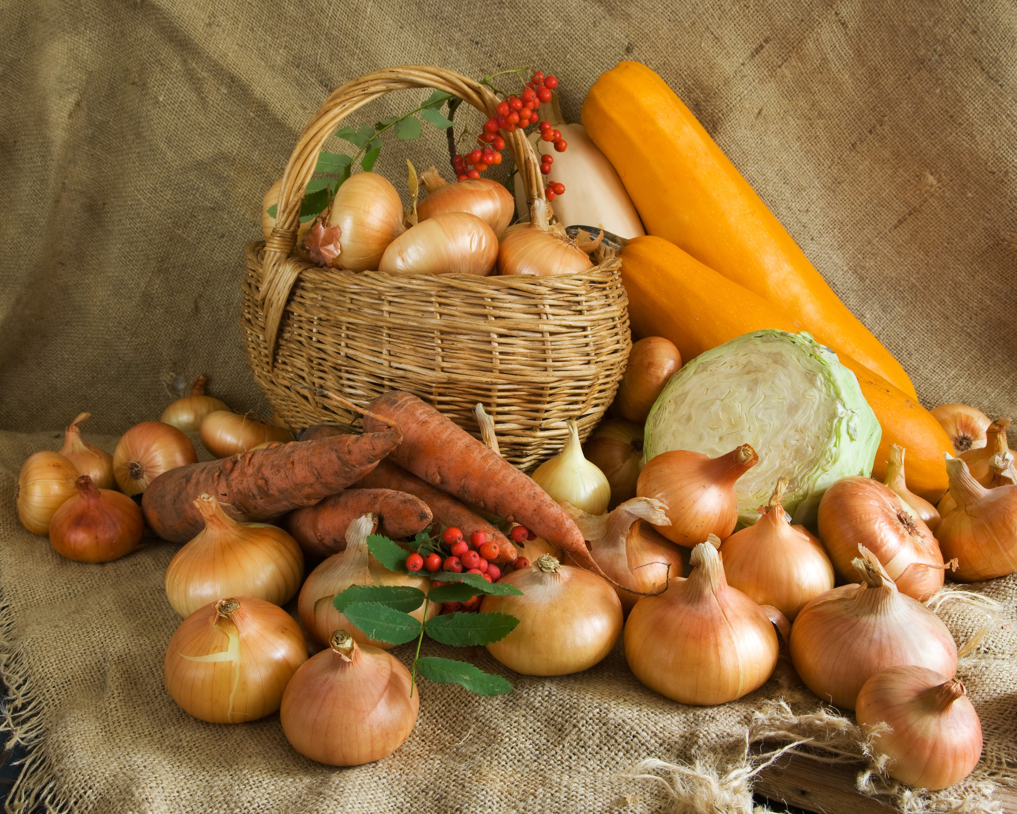 Заготовки на зиму: какие овощи и фрукты стоит купить в августе