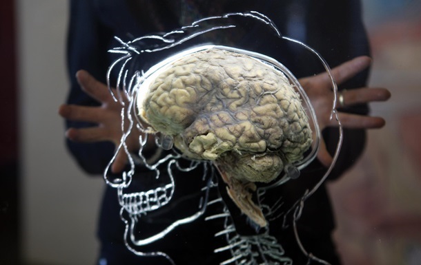 Ученые смогли омолодить старый мозг