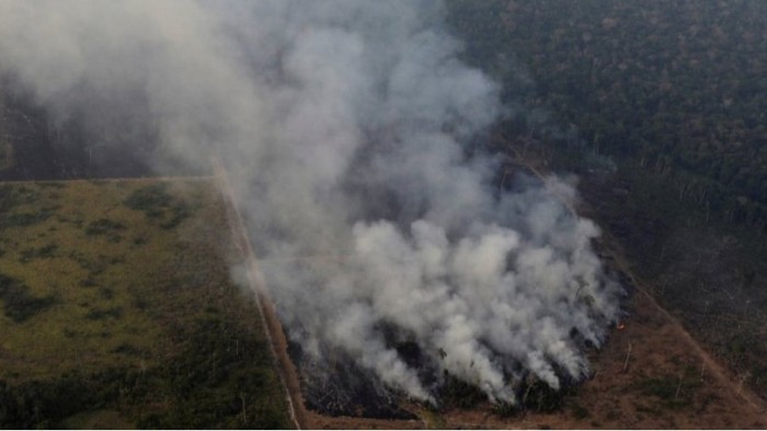 Президент Бразилии заявил о нехватке ресурсов для борьбы с пожарами в Амазонии
