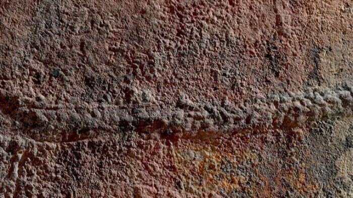 Ученые нашли самые древние следы животных на планете