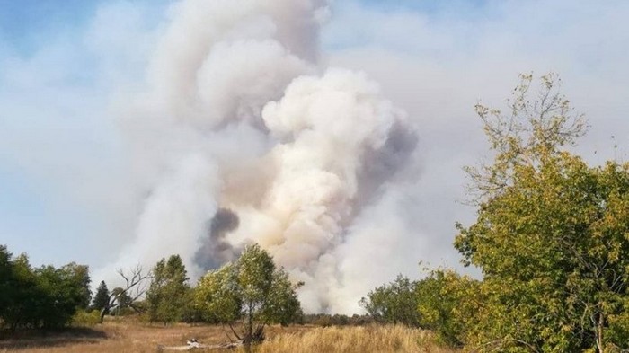 Лесной пожар возле Чернобыля разросся до 20 га