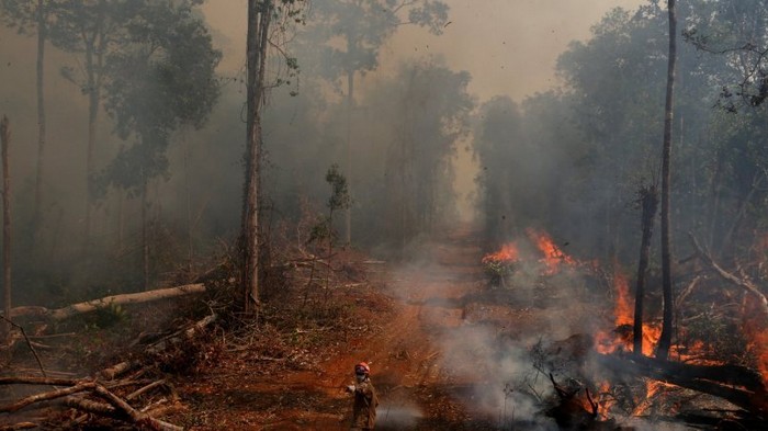 Пожары в Амазонии: Бразилия согласилась принять помощь