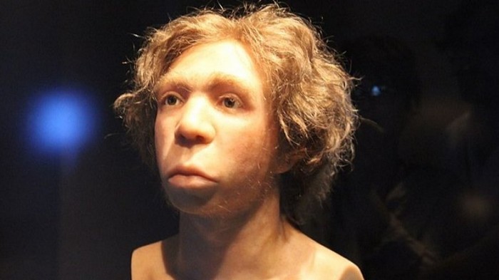 Неандертальцев могла убить привычная для современных людей инфекция