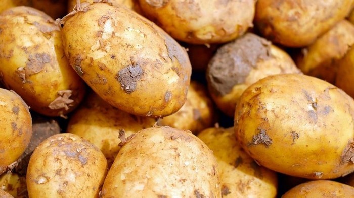 Импорт картофеля Украиной превышает экспорт почти в пять раз
