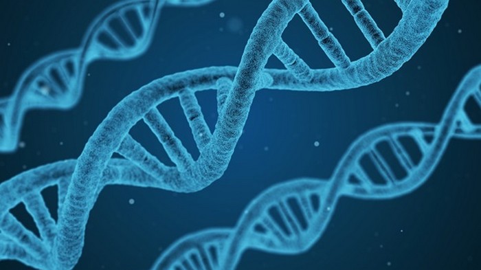 Ученые выделили гены, связанные с развитием шизофрении