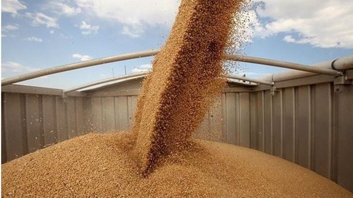 Исследование: Из Украины вывели $1,5 млрд прибыли от продажи зерна