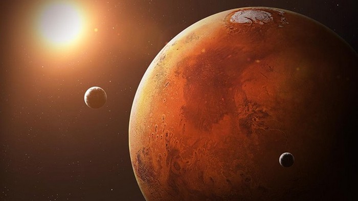 Ученый из США обнаружил на Марсе насекомых (фото)