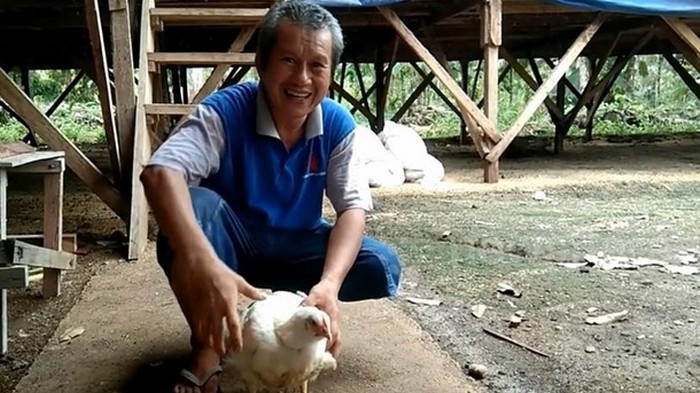 В Индонезии нашли курицу с четырьмя ногами (фото)