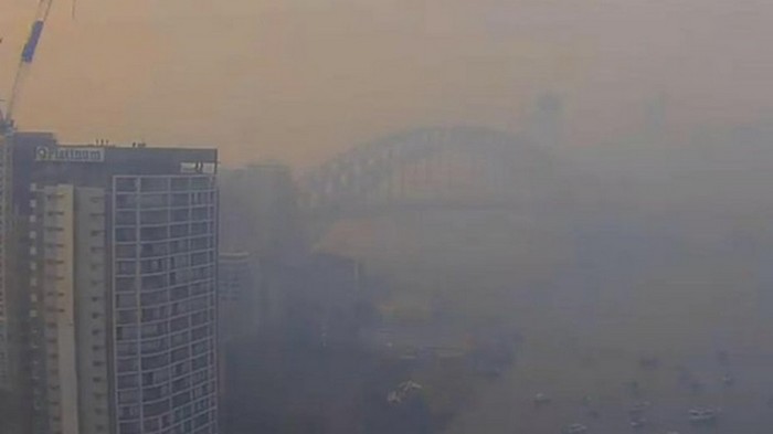 Сидней затянуло дымом от лесных пожаров (видео)