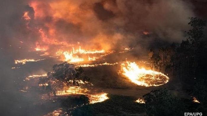 Пожары в Австралии усилились: готовится эвакуация