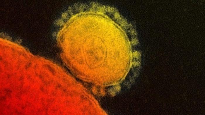 От нового типа коронавируса впервые умер житель Китая