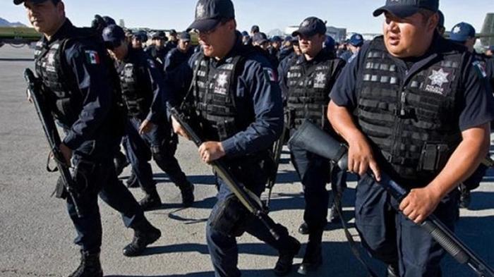 В Мексике полиция нашла грузовик с 10 телами