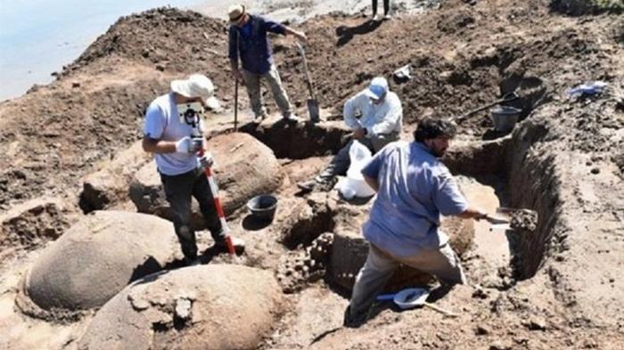 Фермер нашел останки вымерших 10 тыс лет назад глиптодонов (фото)