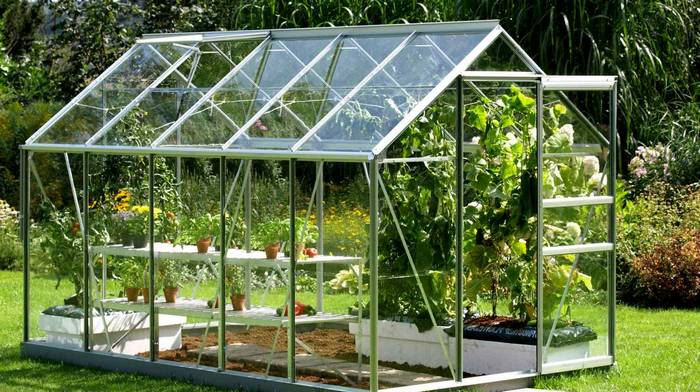 Как правильно выбрать и почему стоит купить парник для рассады?