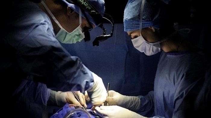 В Нидерландах врачи откладывают операции из-за коронавируса
