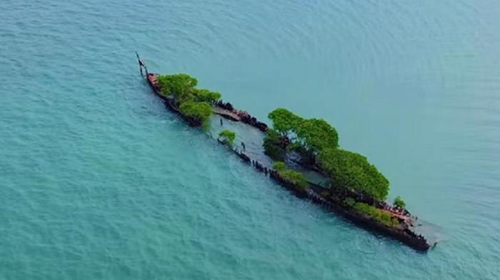 Заброшенный корабль превратился в остров (видео)