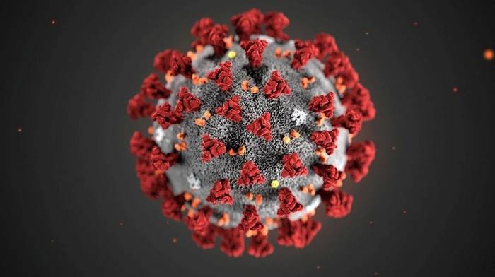 Зачем нужна карта распространения коронавируса и ее особенности